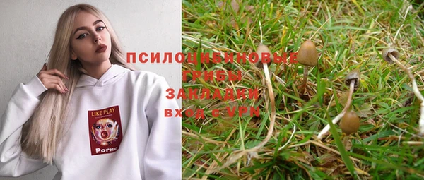 а пвп мука Няндома