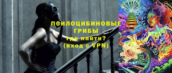 гашик Кодинск