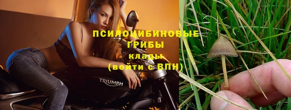 мет Нягань